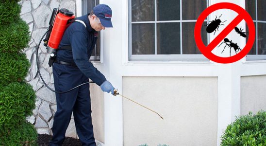Kozlu Kene İlaçlama böcek ilaçlama ve haşere kontrolü — ilaclama-tr.com